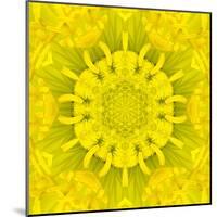 Yellow Concentric Flower Center: Mandala Kaleidoscopic Design-tr3gi-Mounted Art Print