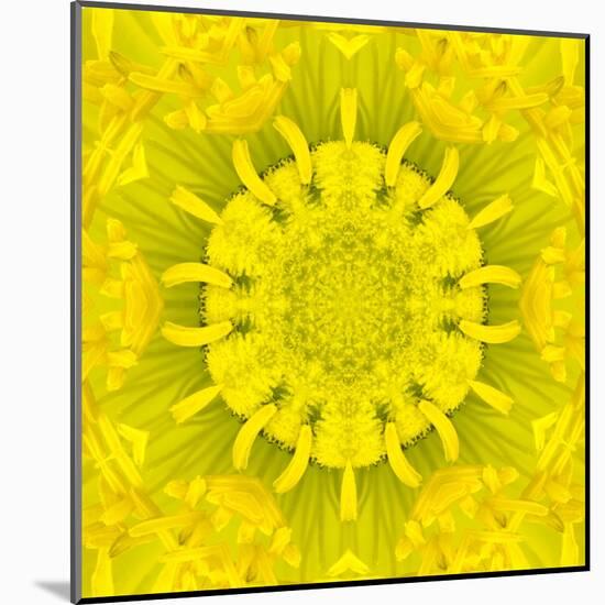 Yellow Concentric Flower Center: Mandala Kaleidoscopic Design-tr3gi-Mounted Art Print