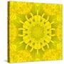 Yellow Concentric Flower Center: Mandala Kaleidoscopic Design-tr3gi-Stretched Canvas