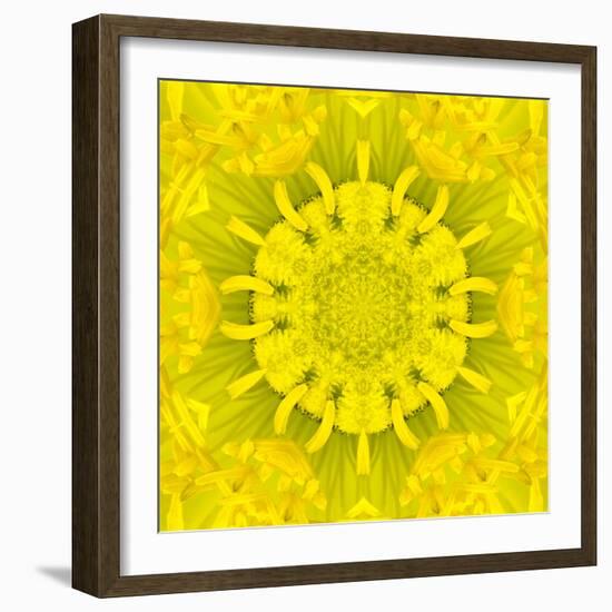 Yellow Concentric Flower Center: Mandala Kaleidoscopic Design-tr3gi-Framed Art Print