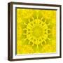 Yellow Concentric Flower Center: Mandala Kaleidoscopic Design-tr3gi-Framed Art Print