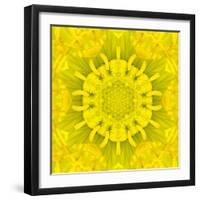 Yellow Concentric Flower Center: Mandala Kaleidoscopic Design-tr3gi-Framed Art Print