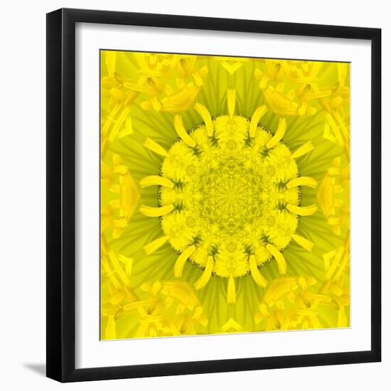 Yellow Concentric Flower Center: Mandala Kaleidoscopic Design-tr3gi-Framed Art Print