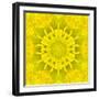 Yellow Concentric Flower Center: Mandala Kaleidoscopic Design-tr3gi-Framed Art Print