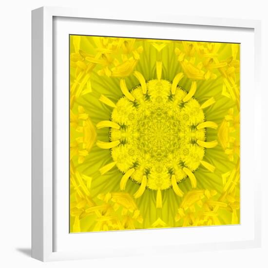 Yellow Concentric Flower Center: Mandala Kaleidoscopic Design-tr3gi-Framed Art Print