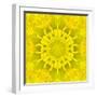 Yellow Concentric Flower Center: Mandala Kaleidoscopic Design-tr3gi-Framed Art Print