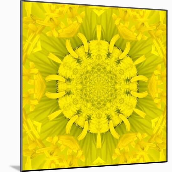 Yellow Concentric Flower Center: Mandala Kaleidoscopic Design-tr3gi-Mounted Art Print