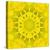 Yellow Concentric Flower Center: Mandala Kaleidoscopic Design-tr3gi-Stretched Canvas