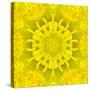 Yellow Concentric Flower Center: Mandala Kaleidoscopic Design-tr3gi-Stretched Canvas