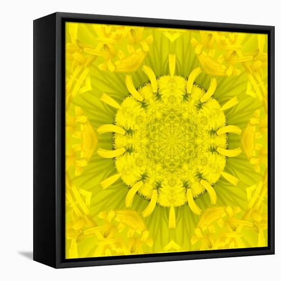 Yellow Concentric Flower Center: Mandala Kaleidoscopic Design-tr3gi-Framed Stretched Canvas
