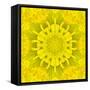 Yellow Concentric Flower Center: Mandala Kaleidoscopic Design-tr3gi-Framed Stretched Canvas