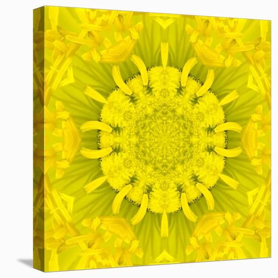 Yellow Concentric Flower Center: Mandala Kaleidoscopic Design-tr3gi-Stretched Canvas