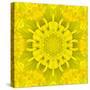 Yellow Concentric Flower Center: Mandala Kaleidoscopic Design-tr3gi-Stretched Canvas