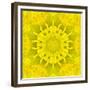 Yellow Concentric Flower Center: Mandala Kaleidoscopic Design-tr3gi-Framed Premium Giclee Print
