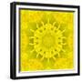 Yellow Concentric Flower Center: Mandala Kaleidoscopic Design-tr3gi-Framed Premium Giclee Print