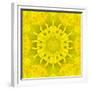 Yellow Concentric Flower Center: Mandala Kaleidoscopic Design-tr3gi-Framed Premium Giclee Print