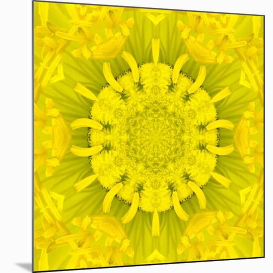 Yellow Concentric Flower Center: Mandala Kaleidoscopic Design-tr3gi-Mounted Art Print