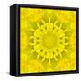 Yellow Concentric Flower Center: Mandala Kaleidoscopic Design-tr3gi-Framed Stretched Canvas