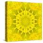 Yellow Concentric Flower Center: Mandala Kaleidoscopic Design-tr3gi-Stretched Canvas