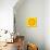 Yellow Concentric Flower Center: Mandala Kaleidoscopic Design-tr3gi-Art Print displayed on a wall