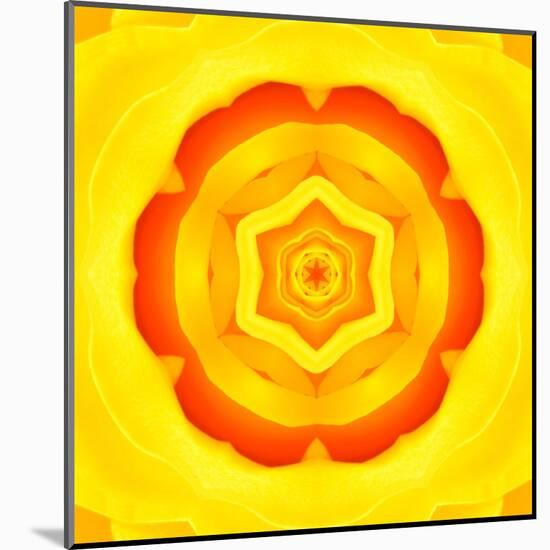 Yellow Concentric Flower Center: Mandala Kaleidoscopic Design-tr3gi-Mounted Art Print