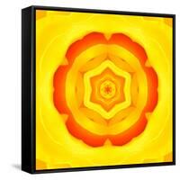 Yellow Concentric Flower Center: Mandala Kaleidoscopic Design-tr3gi-Framed Stretched Canvas