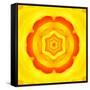 Yellow Concentric Flower Center: Mandala Kaleidoscopic Design-tr3gi-Framed Stretched Canvas