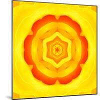 Yellow Concentric Flower Center: Mandala Kaleidoscopic Design-tr3gi-Mounted Art Print