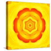 Yellow Concentric Flower Center: Mandala Kaleidoscopic Design-tr3gi-Stretched Canvas