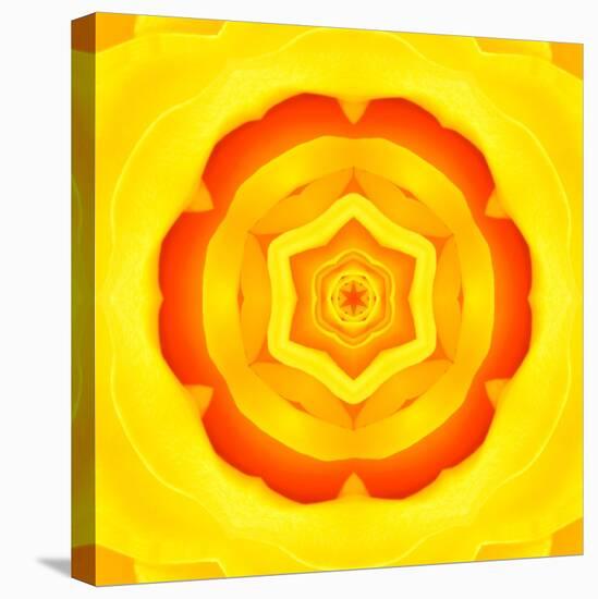 Yellow Concentric Flower Center: Mandala Kaleidoscopic Design-tr3gi-Stretched Canvas