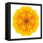 Yellow Concentric Marigold Mandala Flower-tr3gi-Framed Stretched Canvas