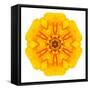 Yellow Concentric Marigold Mandala Flower-tr3gi-Framed Stretched Canvas