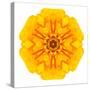 Yellow Concentric Marigold Mandala Flower-tr3gi-Stretched Canvas