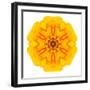 Yellow Concentric Marigold Mandala Flower-tr3gi-Framed Art Print