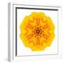 Yellow Concentric Marigold Mandala Flower-tr3gi-Framed Art Print