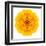 Yellow Concentric Marigold Mandala Flower-tr3gi-Framed Art Print