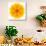 Yellow Concentric Marigold Mandala Flower-tr3gi-Art Print displayed on a wall