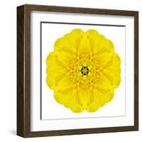 Yellow Concentric Marigold Mandala Flower-tr3gi-Framed Art Print