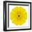 Yellow Concentric Marigold Mandala Flower-tr3gi-Framed Art Print