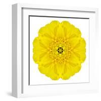 Yellow Concentric Marigold Mandala Flower-tr3gi-Framed Art Print