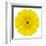 Yellow Concentric Marigold Mandala Flower-tr3gi-Framed Art Print