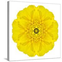 Yellow Concentric Marigold Mandala Flower-tr3gi-Stretched Canvas