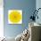 Yellow Concentric Marigold Mandala Flower-tr3gi-Stretched Canvas displayed on a wall