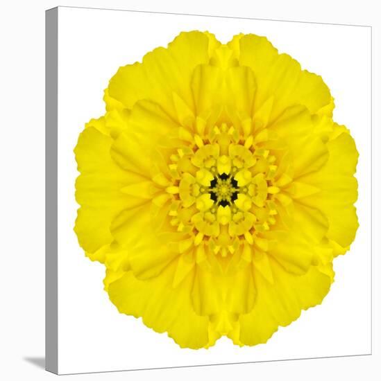 Yellow Concentric Marigold Mandala Flower-tr3gi-Stretched Canvas