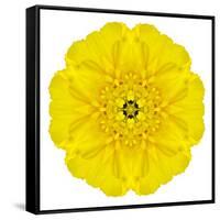 Yellow Concentric Marigold Mandala Flower-tr3gi-Framed Stretched Canvas