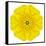 Yellow Concentric Marigold Mandala Flower-tr3gi-Framed Stretched Canvas