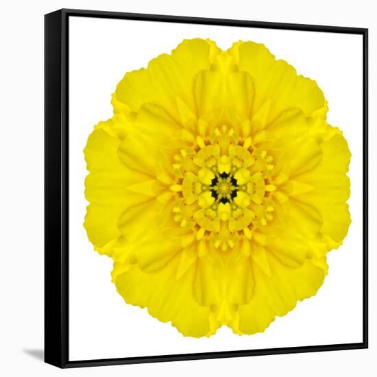 Yellow Concentric Marigold Mandala Flower-tr3gi-Framed Stretched Canvas