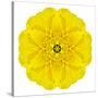 Yellow Concentric Marigold Mandala Flower-tr3gi-Stretched Canvas