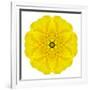 Yellow Concentric Marigold Mandala Flower-tr3gi-Framed Art Print