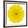 Yellow Concentric Marigold Mandala Flower-tr3gi-Framed Art Print